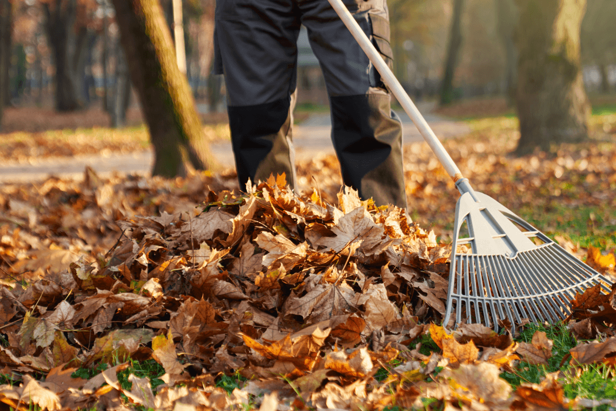 Landscaping services in Tontitown
